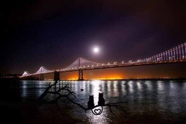 Are there free art classes in Paris parks in 2026?