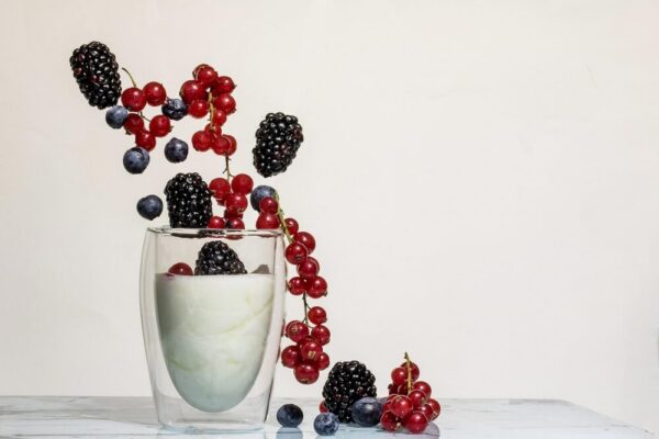 Are there free photography exhibitions in Paris in 2026?