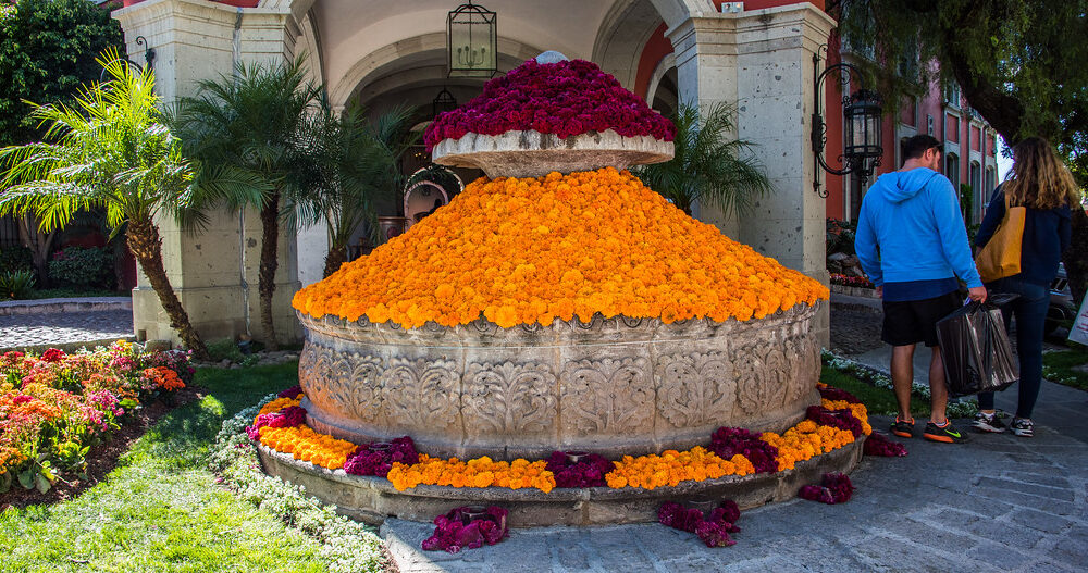 Best budget hotels in Amsterdam for long stays 2026