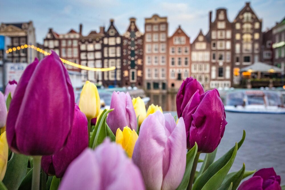 Best economy hotels in Amsterdam near Flower Market 2026
