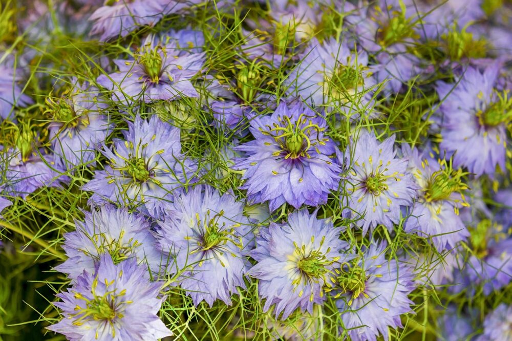 Best value hotels in London for a holiday 2026