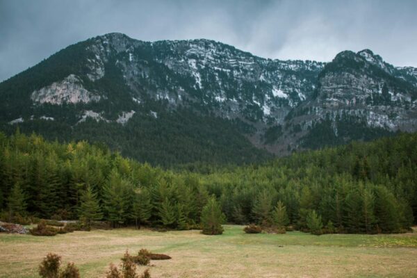How do I get from Barcelona to Aigüestortes i Estany de Sant Maurici National Park?