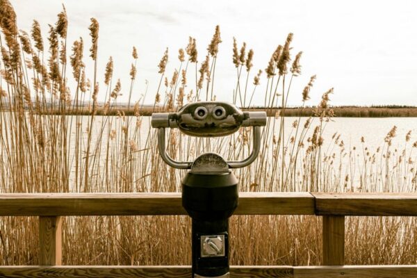 How do I get from Barcelona to Delta del Llobregat Natural Area?