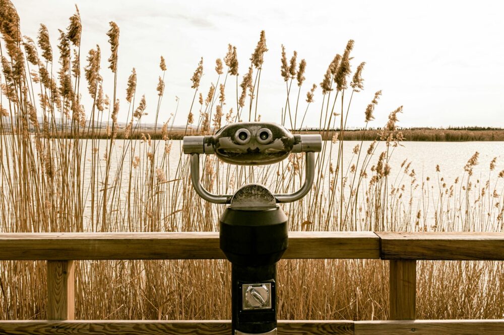 How do I get from Barcelona to Delta del Llobregat Natural Area?