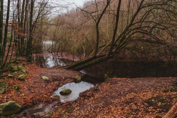 How do I get from Barcelona to Montseny Natural Park?