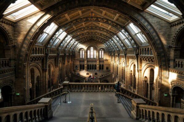 How do I visit the Natural History Museum in London?
