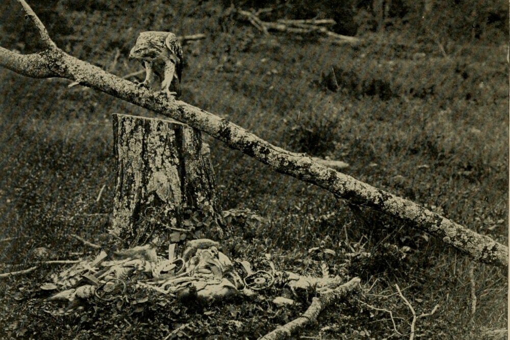 How many days do you need in Strasbourg?