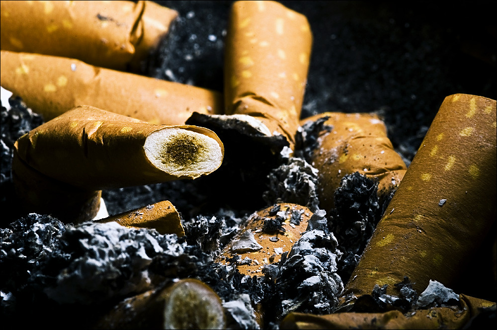 How many days do you need in Toulouse?