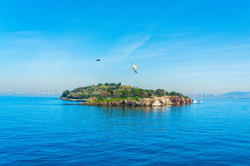 How to explore the Prince Islands for free?