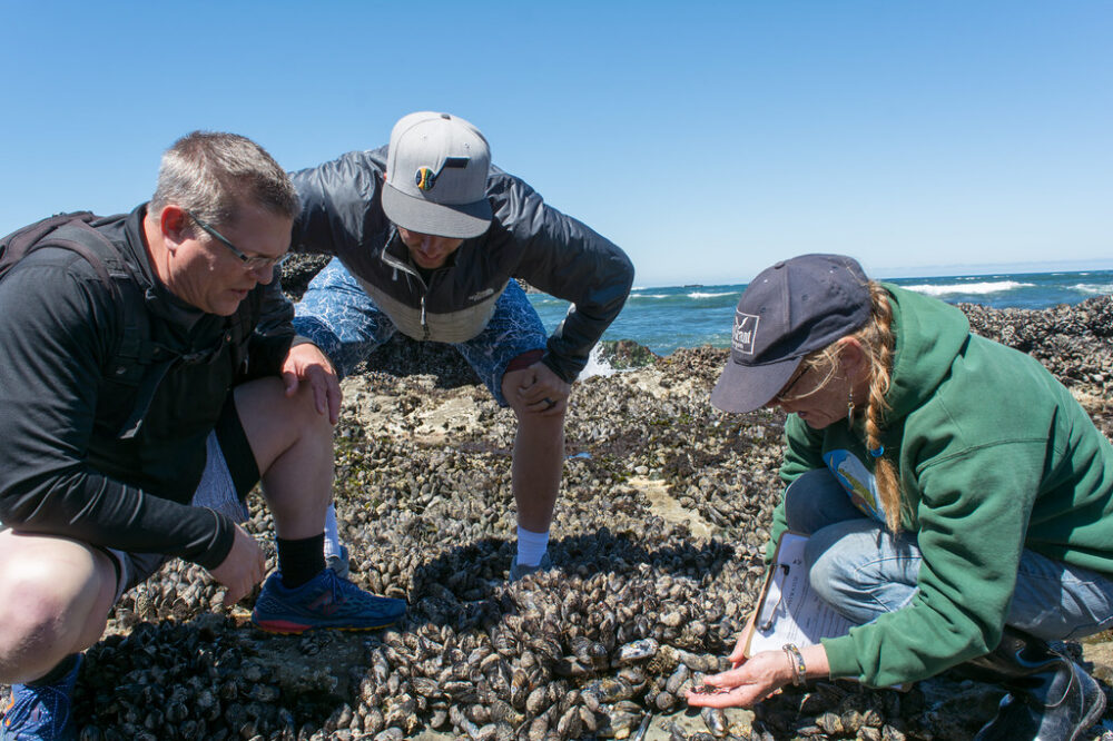 How to explore the Testaccio neighborhood for free in 2026?