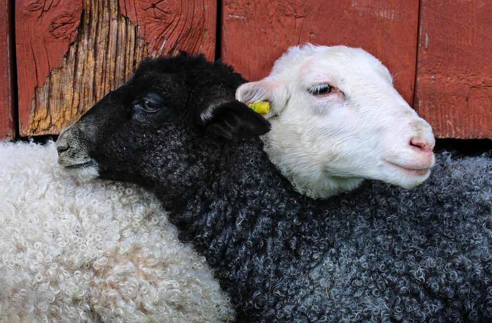 How to get from Toulouse to the Aveyron region?