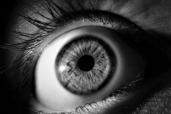 How to see the Mouth of Truth for free in 2026?