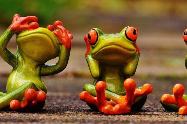 How to see the Toulouse-Lautrec museum in Albi from Toulouse?