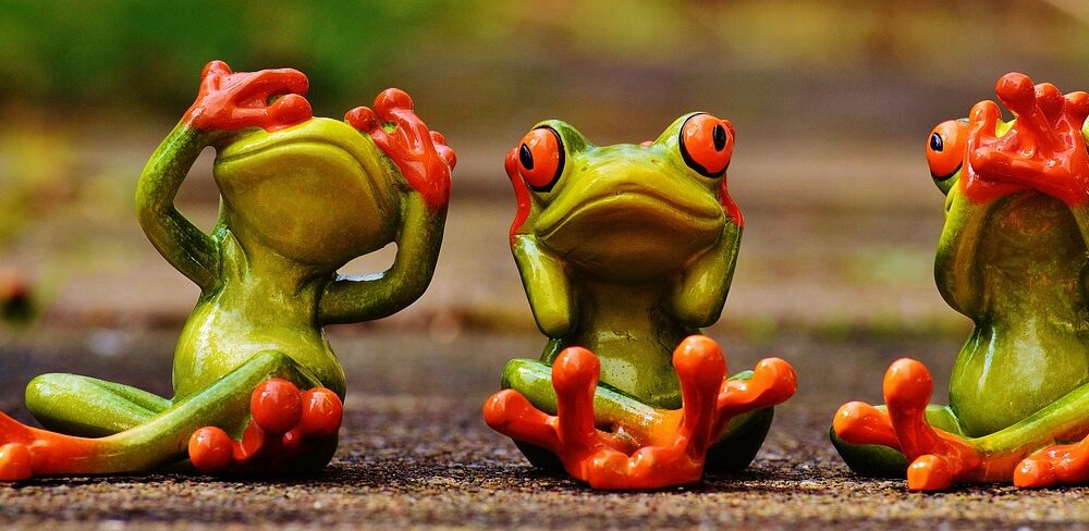 How to see the Toulouse-Lautrec museum in Albi from Toulouse?