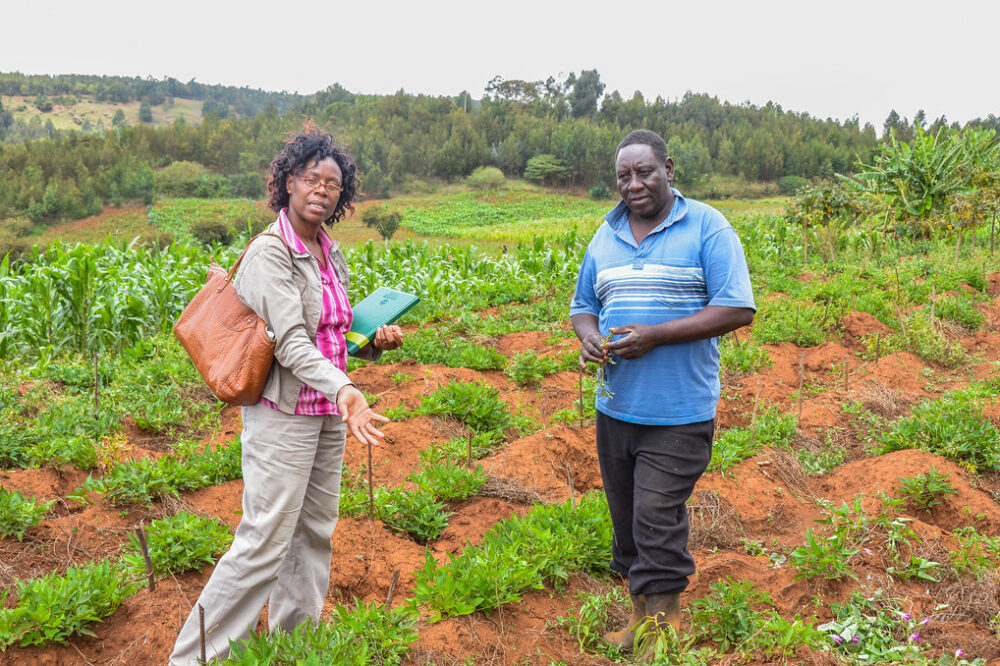 How to take a free ferry ride in Istanbul?