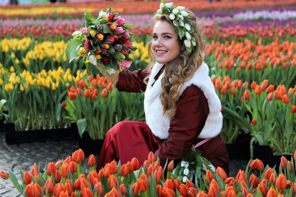 How to visit the tulip fields from Amsterdam?