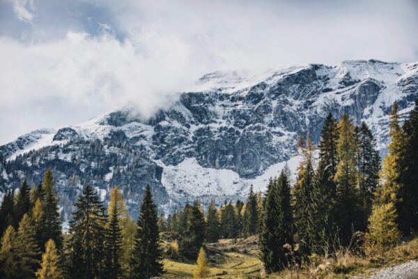 Is it cheaper to visit Europe in winter or summer?