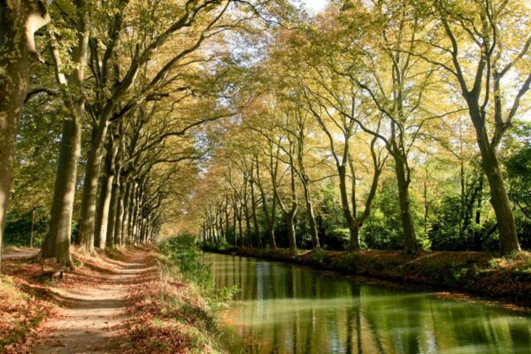 Is the Jardin des Plantes in Toulouse dog-friendly?
