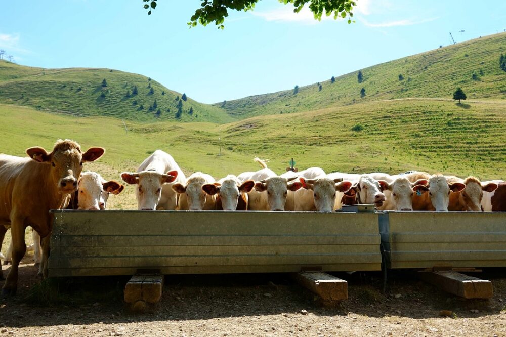 Is the Jardin du Grand Rond in Toulouse a must-see?