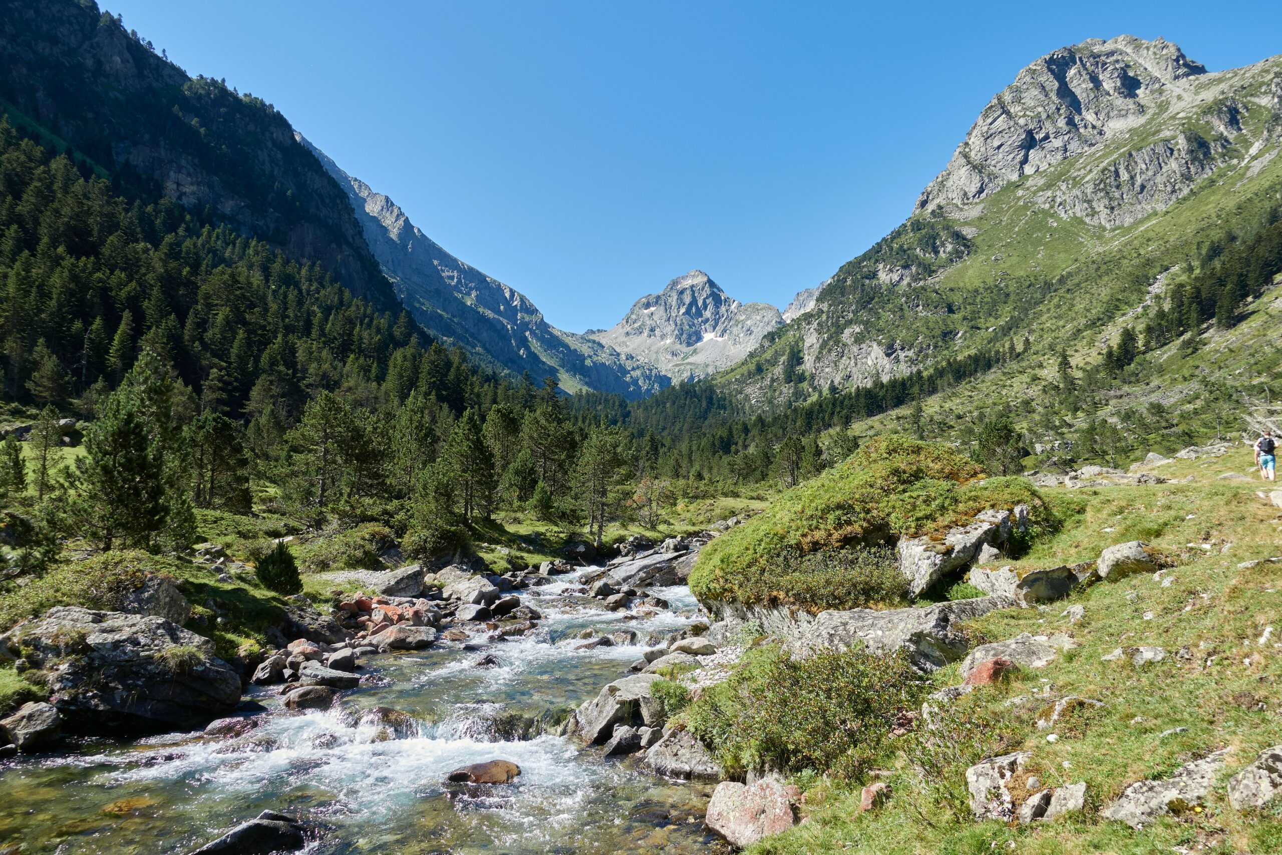 green trees on mountain under blue sky during daytime
