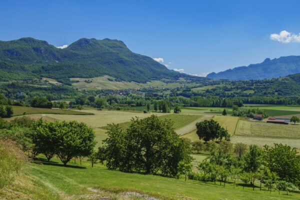 a green field with mountains in the background