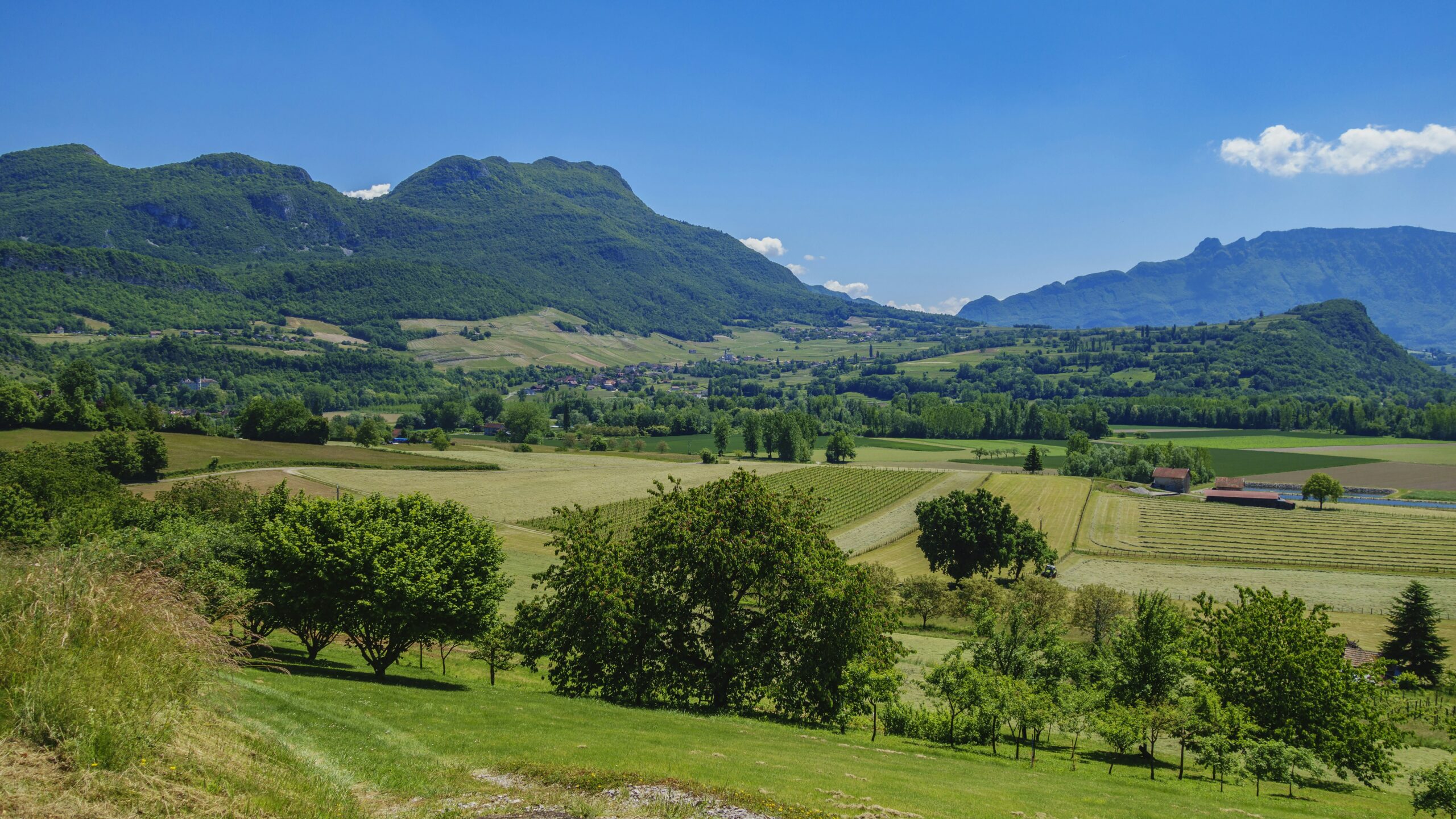 a green field with mountains in the background