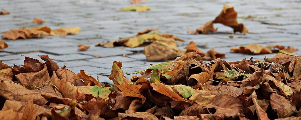 What are the best autumn art tours in Paris?