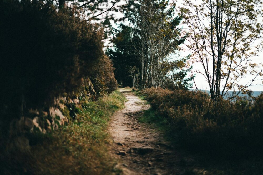 What are the best autumn hiking trails near Paris?