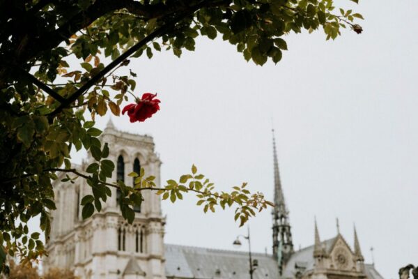 What are the best autumn vineyard tours near Paris?