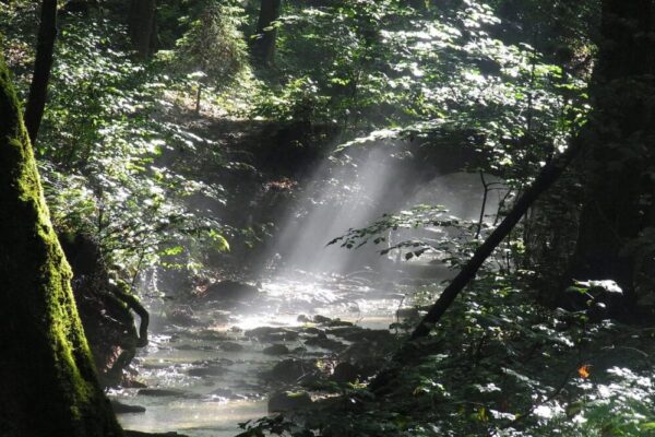 What are the best bridges in Toulouse to see?
