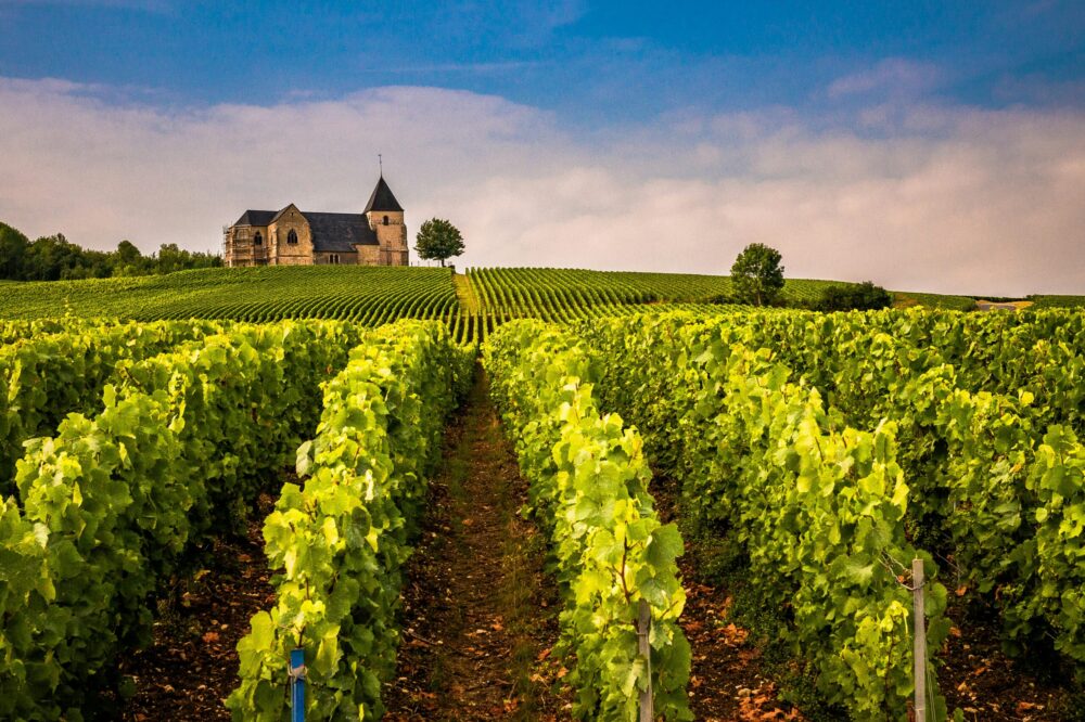 What are the best cities in France for a wine tasting tour?