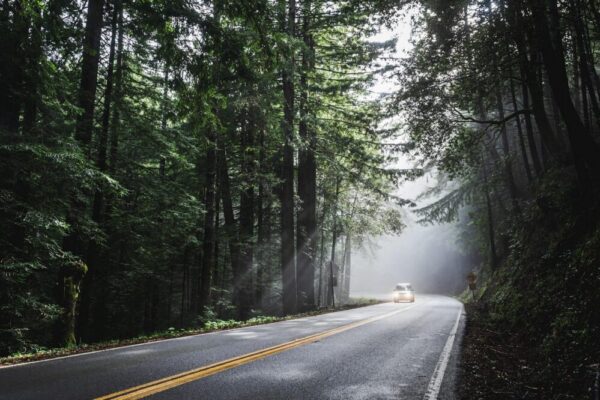 What are the best day trips from Florence?