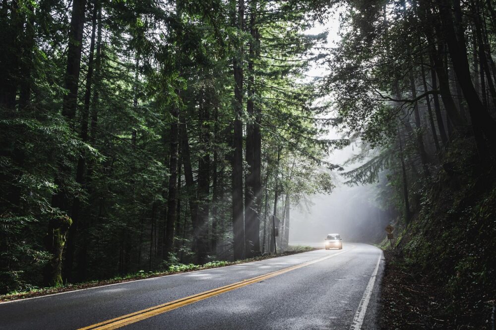 What are the best day trips from Florence?