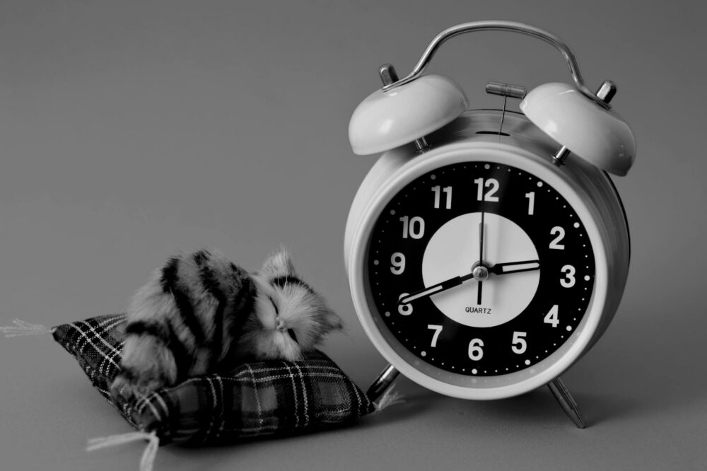What are the best economy hotels in Florence with a alarm clock in 2026?