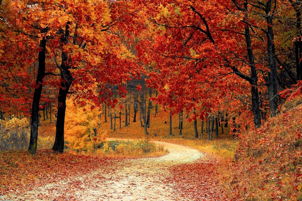 What are the best hiking trails near Toulouse?