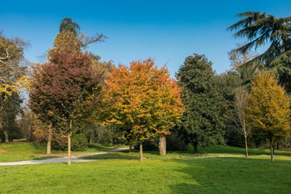 What are the best parks in Paris for autumn colors?