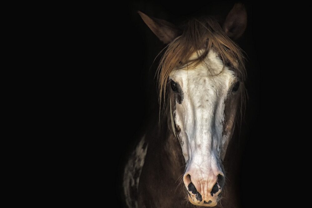 What are the best photo spots in Toulouse?