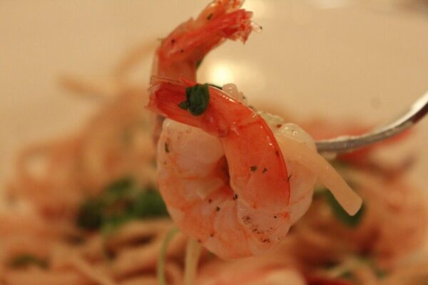 What are the best restaurants in Amsterdam?