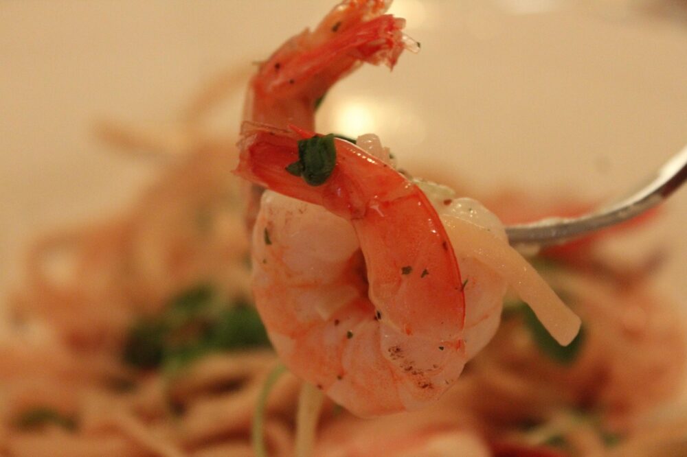 What are the best restaurants in Amsterdam?