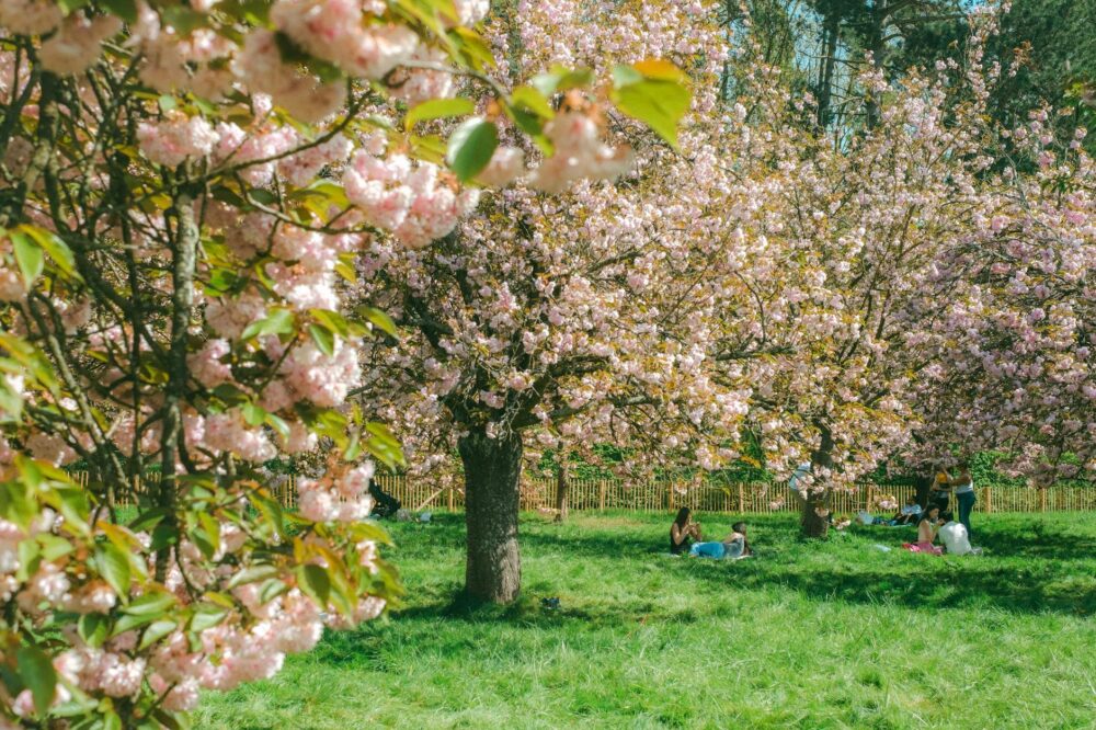 What are the best spring parks for picnics in Paris?