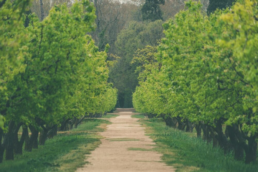 What are the best things to do in Toulouse for nature lovers?