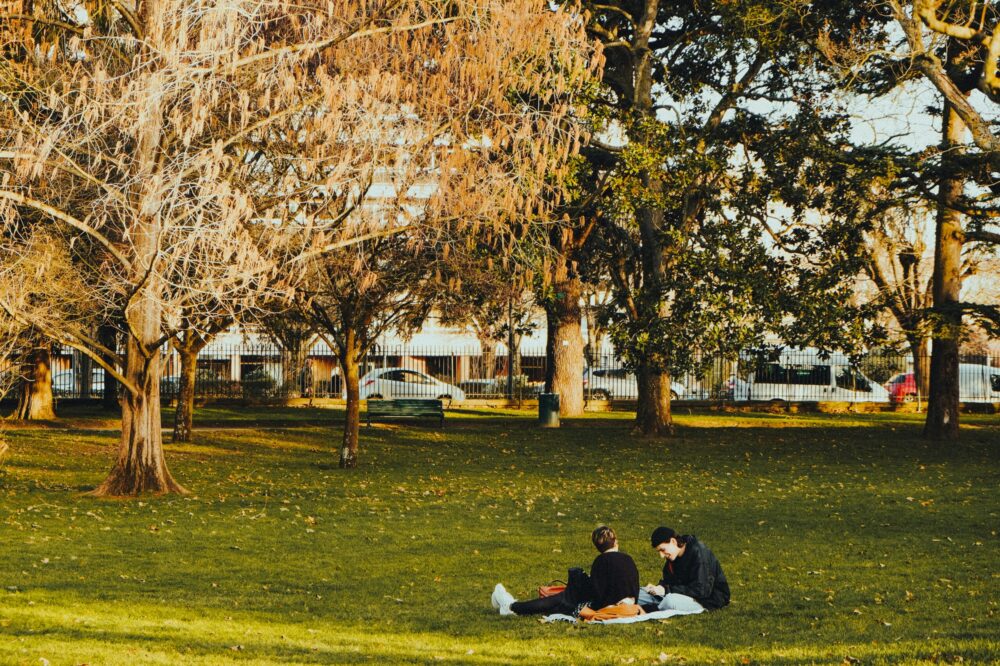 What are the best things to do in Toulouse for seniors?