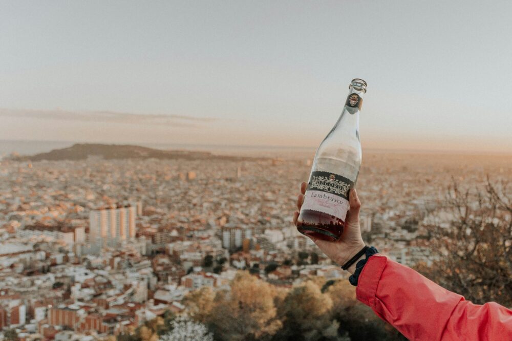 What are the best wine tasting tours near Barcelona?