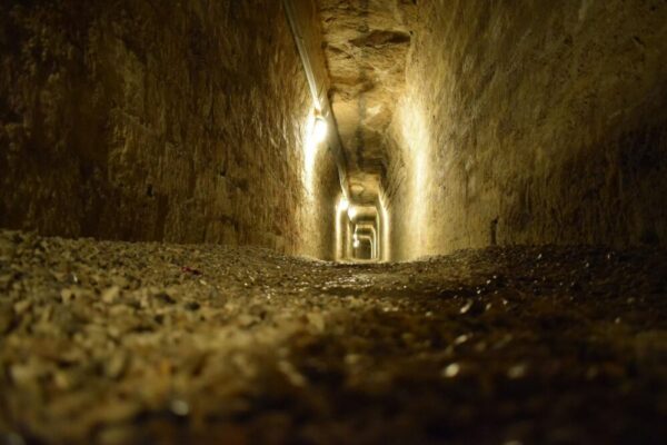 What are the options for guided tours of the Catacombs in Rome?