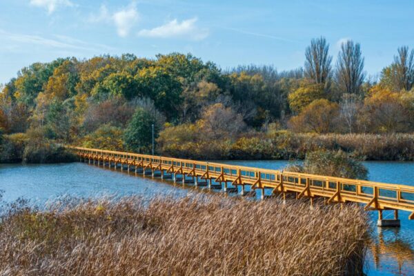 What are the top attractions in Toulouse for nature lovers?