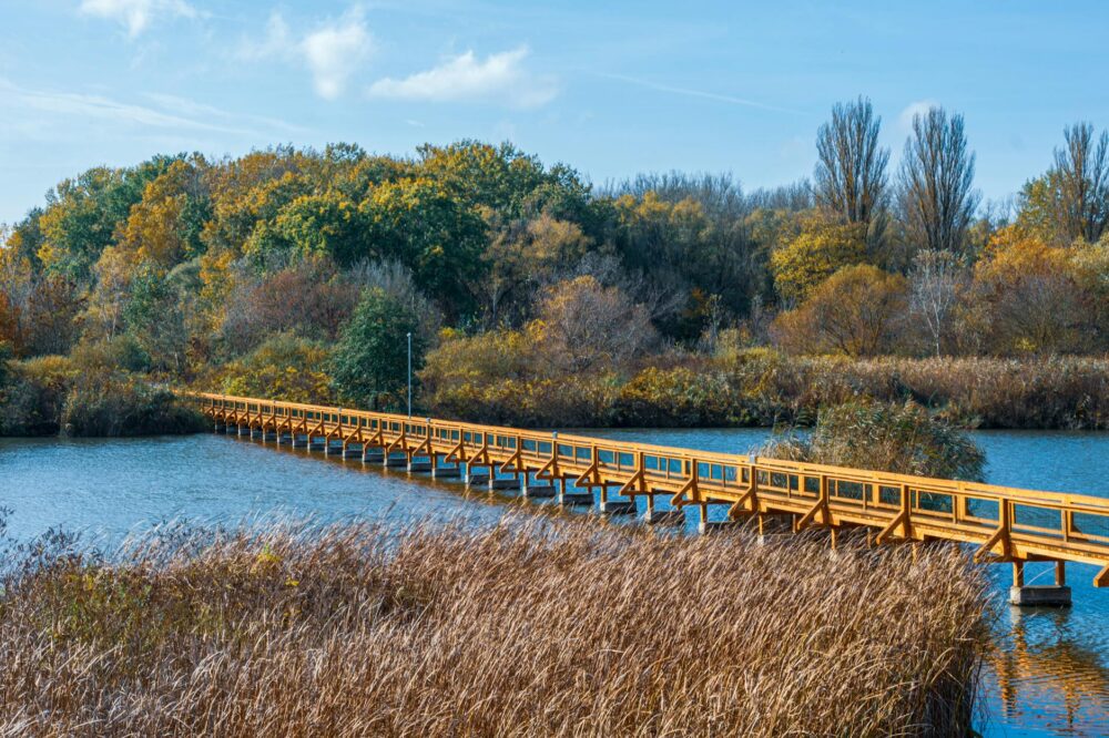 What are the top attractions in Toulouse for nature lovers?