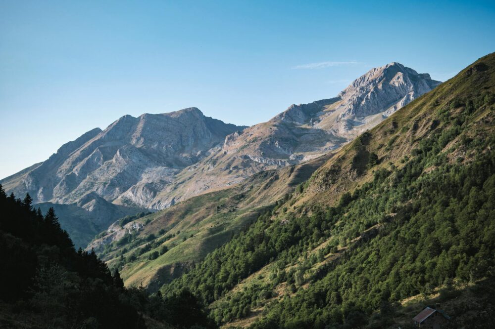 What are the top-rated day trips to Pyrenees from Barcelona?