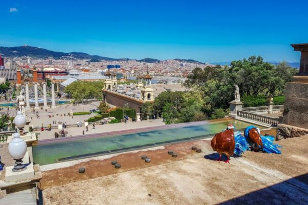 What are the top-rated hostels with swimming pools in Barcelona?