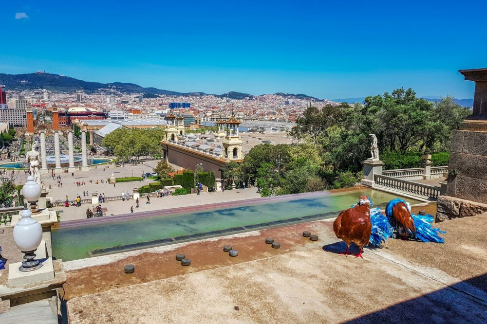 What are the top-rated hostels with swimming pools in Barcelona?