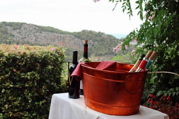 What are the top-rated wine tasting tours in Barcelona?